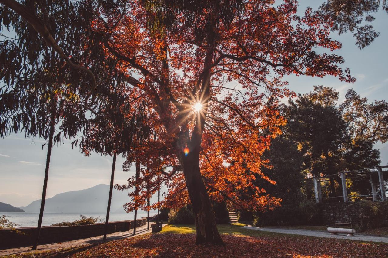 Hotel Villa Emden Brissago Bagian luar foto