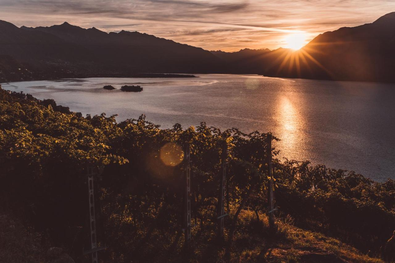 Hotel Villa Emden Brissago Bagian luar foto